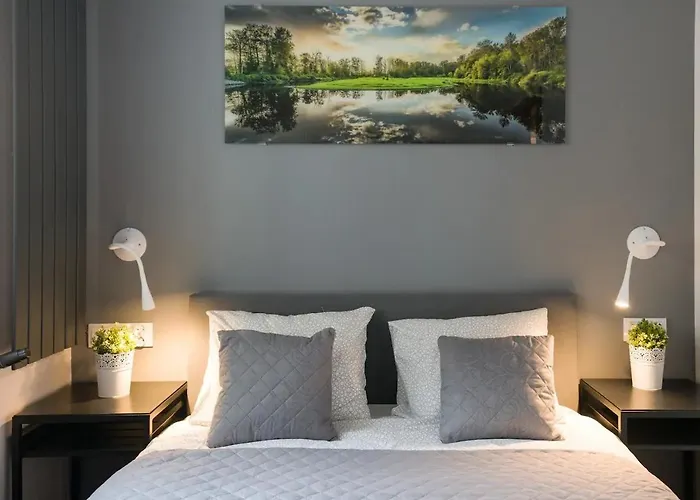 Modern And Comfortable With A Bedroom